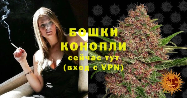ПСИЛОЦИБИНОВЫЕ ГРИБЫ Верхнеуральск
