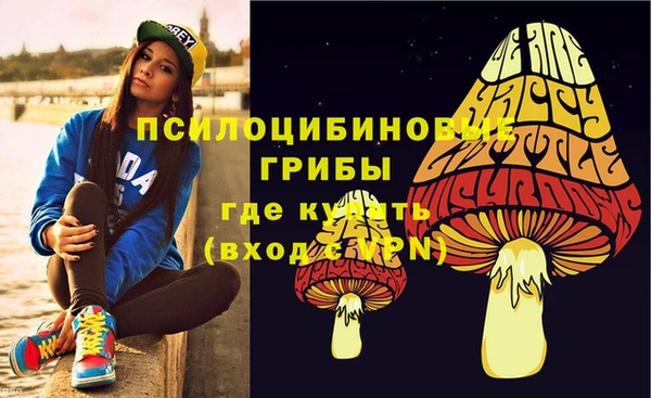 spice Карпинск