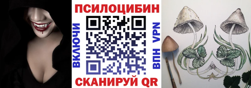 Псилоцибиновые грибы Magic Shrooms  сайты даркнета наркотические препараты  Мончегорск  где купить  